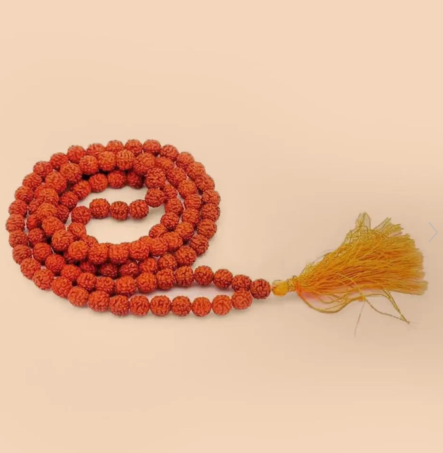 Rudraksha Beads