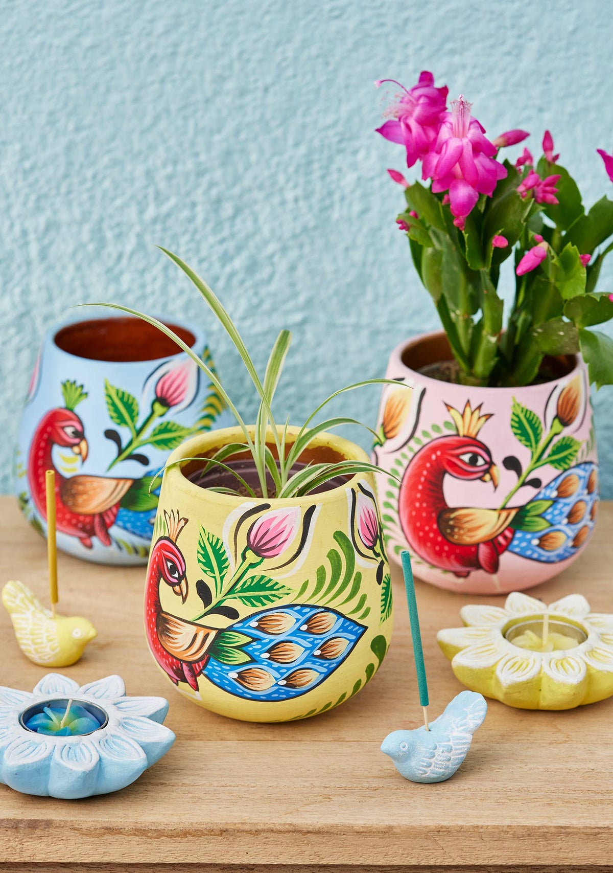 Shapla Handpainted Peacock Planter